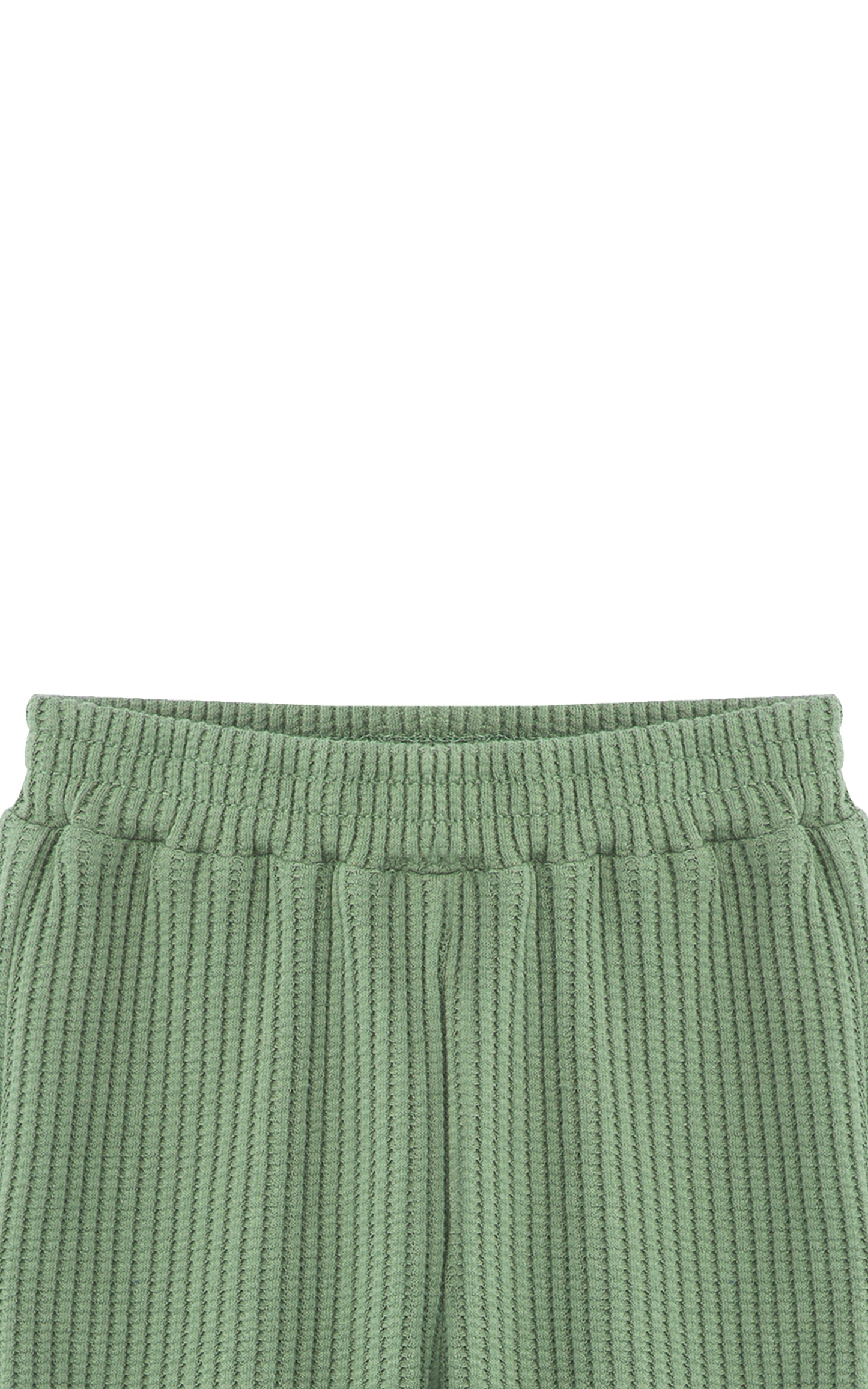 Front view of green textured knit pant